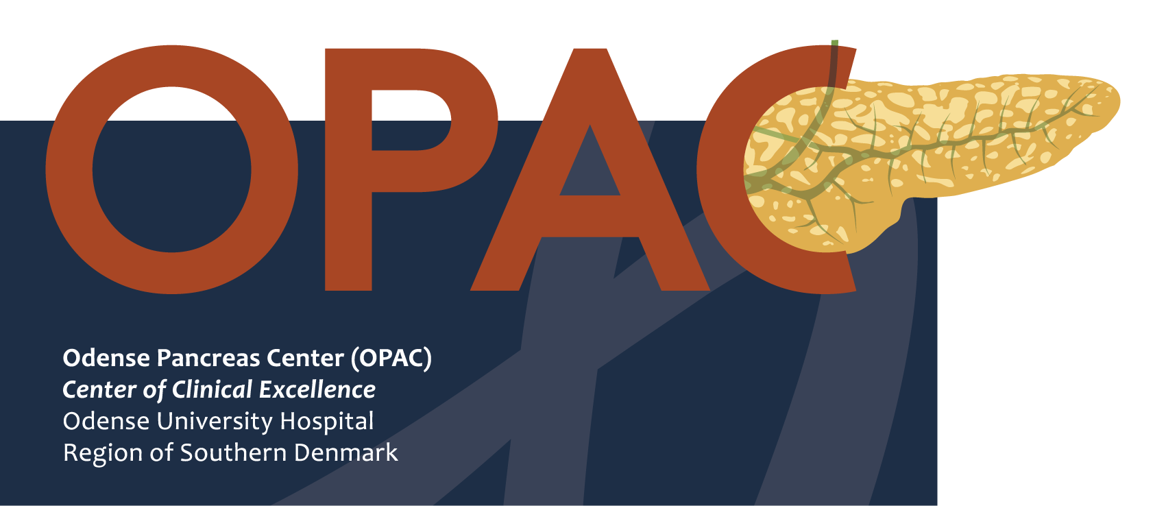 OPAC_logo_m_regionsbund_stor